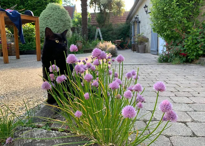 Hébergement de vacances Longère Bord De Avec Grand Jardin Fleuri *